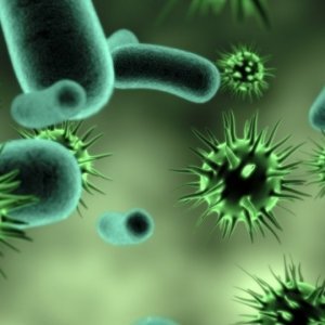 Disinfectant Q&A